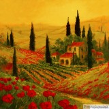 Click to View Poppies of Toscano II